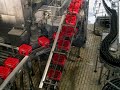 unser taeglich Bier gib uns heute unser taeglich Bier gib uns heute