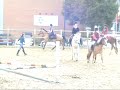 Saut Kerrison