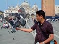 IJK Travel:Venice-Italy,Entertainment in St. Mark\