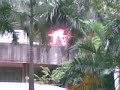 College of Public Health on FIRE