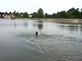 nauka-flipa.html