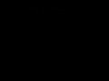 龍虎の拳