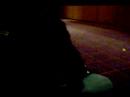 at acen 07 we couldn't get tickets to spiral spiders but we were lucky enough to be in the room next to the concert when they played superdrive. you can't hear it very well but it made my day. lol