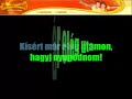 Magyar KARAOKE - Mc Haver - nem kell már