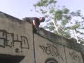 zooset blockbusta! en caguas puerto rico.
