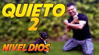 7 - ¿Cómo entrenar la orden quieto? Parte 2