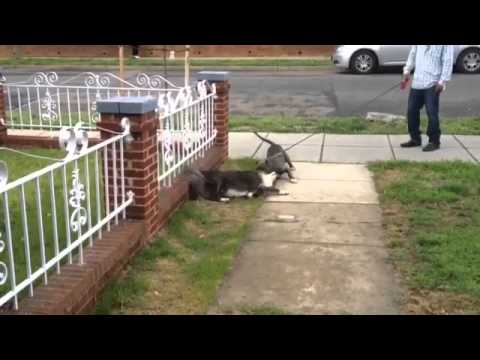 pgoddin - Video created with the Socialcam app on iPhone: http://socialcam.com.