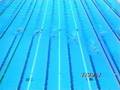 Kieren Perkins 400m Free WR 1994