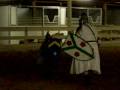 151st Crapaud Tournament Round 8 Fight 2 part 1 151st Crapaud Tournament Round 8 Fight 2 part 1