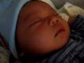 lanz sandoval