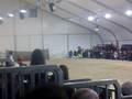 il castagno club