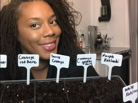 video-linktoworks-How To Start a Garden 2nd Round Spring