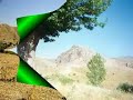 Palu 1. Bölüm Palu 1. Bölüm