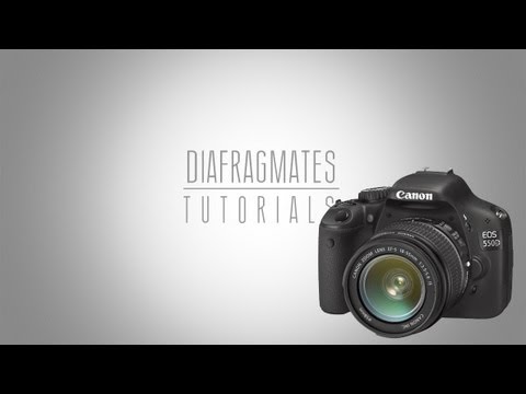 Install Prosafe Plus Utility Download For Mac