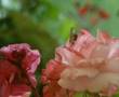 Abdurrahman �n�l L�tfundand�r