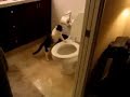 Water Leak Problem
