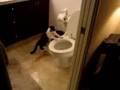 Water Leak Problem