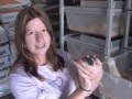 SnakeBytesTV-Snake Eats Nude Mouse