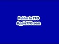 Yechi 770 Puirm