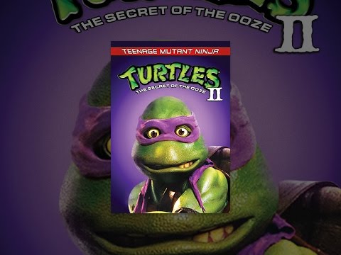 Teenage Mutant Ninja Turtles 2