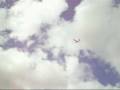 Freeflight