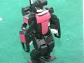 ROBOT TEAM OSAKA ROBOT TEAM OSAKA