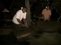 New Video: Fiji switches off for Earth Hour! http://tinyurl.com/cdeugp #voteearth #earthhour