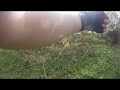 Airsoft srnky - foto 1