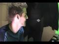 videos de Captain Wendmark Bloopers