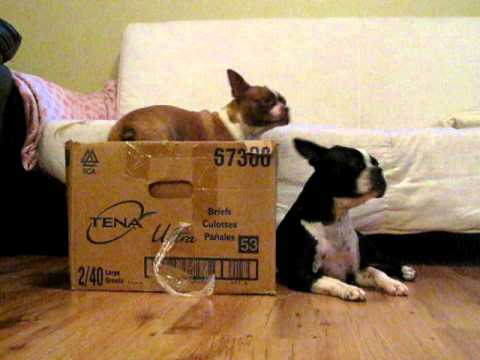 Hide and Seek