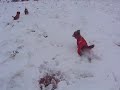 na snijegu -3 na snijegu -3