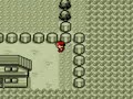 Pallet Town Grass & Clones Pallet Town Grass & Clones