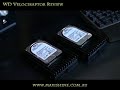 Velociraptor Maxishine Xtreme Gaming Review
