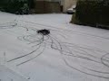 FG Marder neige