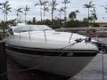hurricane wilma