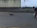 Pulo do Gato