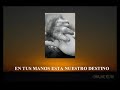 Tráfico ilegal de especies