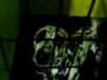 videos de crazy dalmation