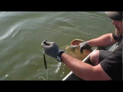 sum 220cm - ebro.avi