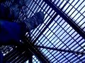 Six Flags Freefall