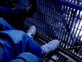 Six Flags Freefall