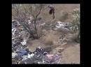 John McCain:  Razing Arizona
