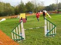 Vanessa et zinga à Pavlov AGILITY