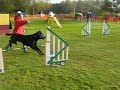 Vanessa et zinga à Pavlov AGILITY