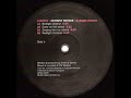 Anthony Rother - Destroy him my robots