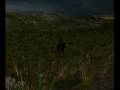Cuman steppe 13th century