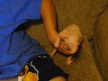 Kitty Playing Kitty Playing