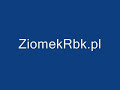 Ziomek