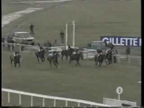 cheltenham gold cup