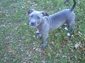 Luna .. =)